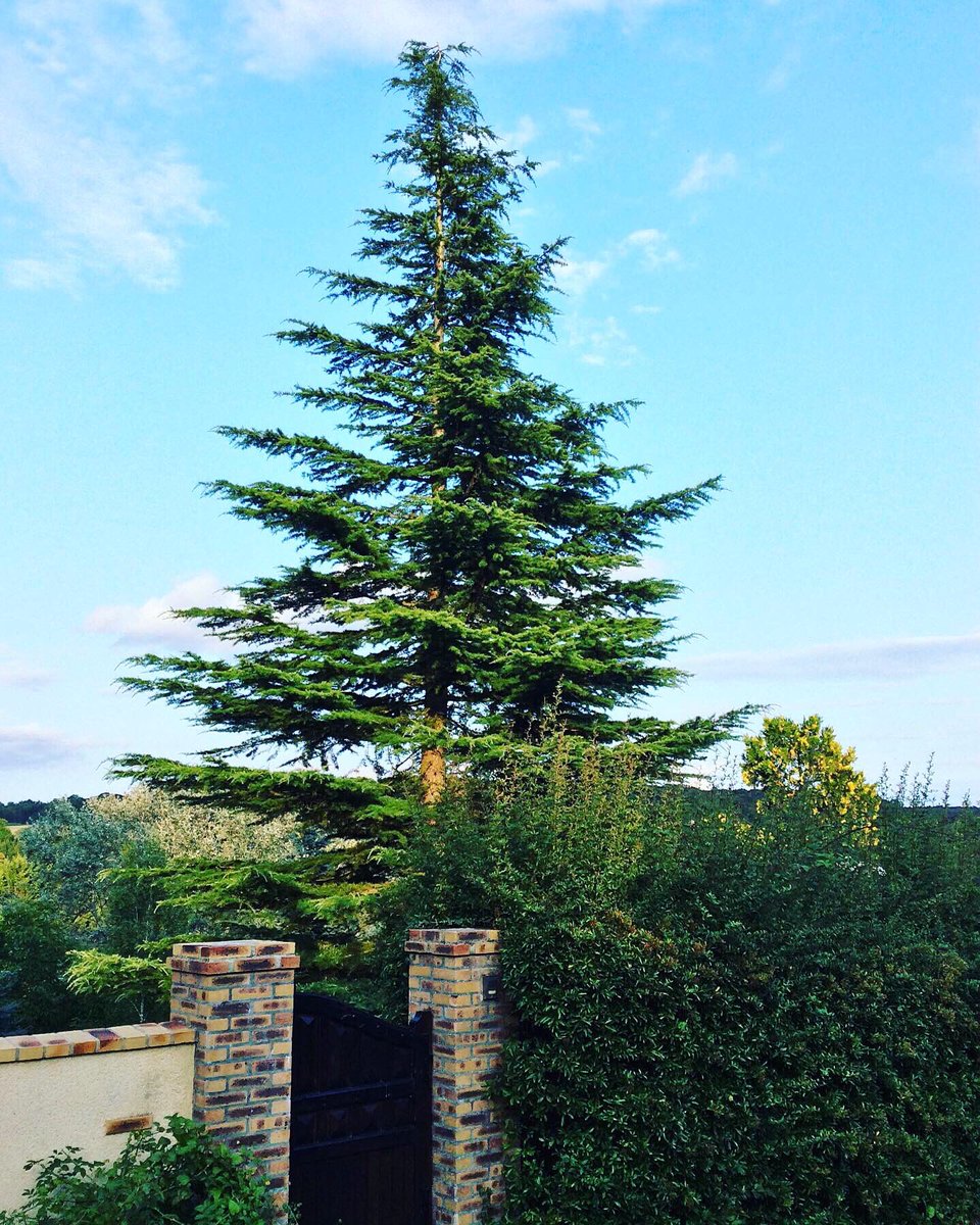 KMLUD.COM tweet media