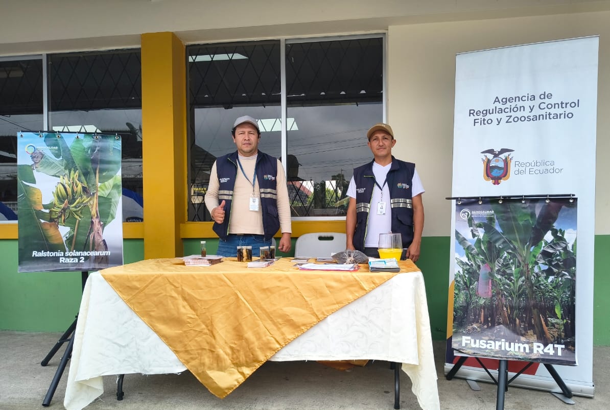 AgrocalidadZ4's tweet photo. #SantoDomingo | Participamos en la Brigada del Nuevo Ecuador en la parroquia Valle Hermoso, organizada por
@gobertsachila, donde socializamos los servicios que brinda la Agencia en beneficio del sector agroproductivo. 

#AgrocalidadEnTerritorio https://t.co/44uaZ5GBdi