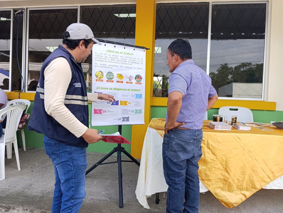 AgrocalidadZ4's tweet photo. #SantoDomingo | Participamos en la Brigada del Nuevo Ecuador en la parroquia Valle Hermoso, organizada por
@gobertsachila, donde socializamos los servicios que brinda la Agencia en beneficio del sector agroproductivo. 

#AgrocalidadEnTerritorio https://t.co/44uaZ5GBdi