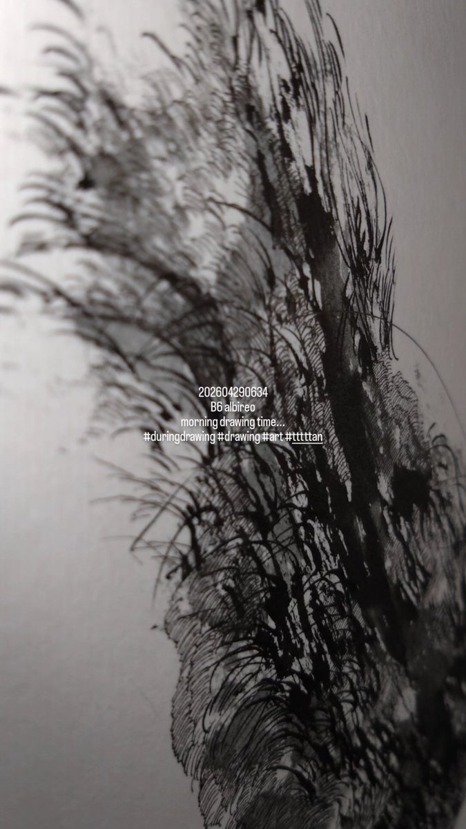 tttttan's tweet image. 202604290634
B6 albireo
morning drawing time...
#duringdrawing #drawing #art #tttttan
