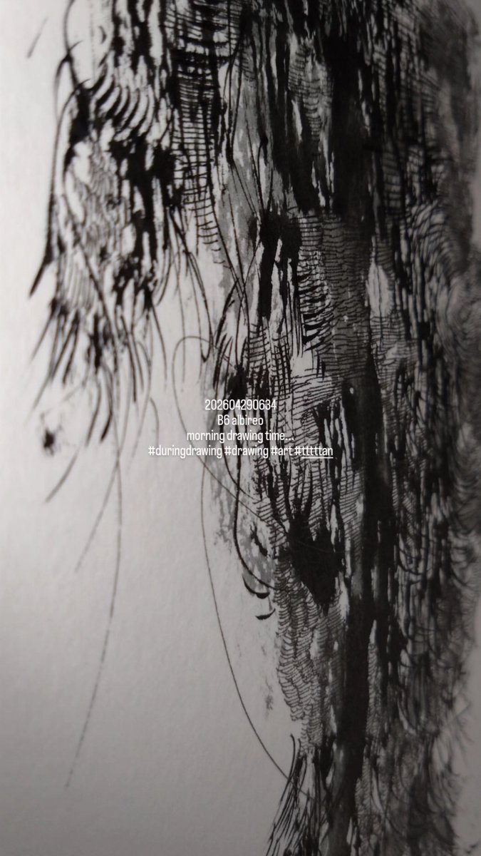 tttttan's tweet image. 202604290634
B6 albireo
morning drawing time...
#duringdrawing #drawing #art #tttttan