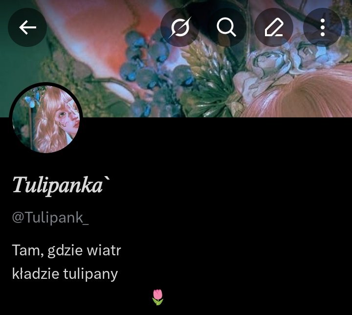 𝑇𝑢𝑙𝑖𝑝𝑎𝑛𝑘𝑎` tweet media