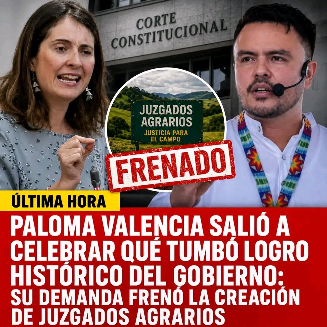 Ave Fénix tweet media