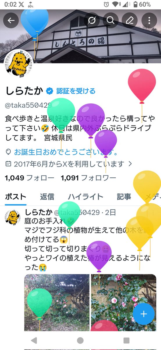 しらたか tweet media