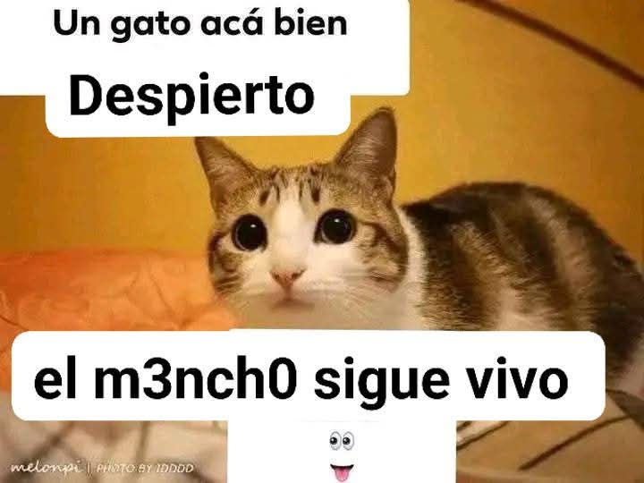 David Avery Menéndez Rosenberg tweet media