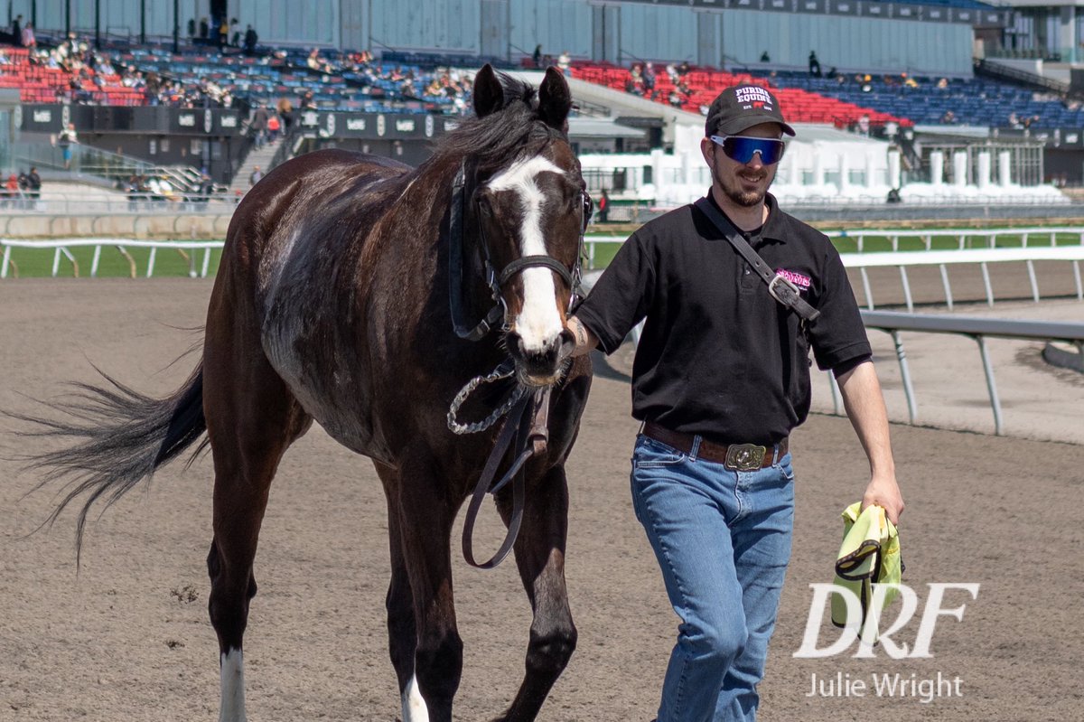 reddogcw's tweet image. In case you needed a good face today, here’s Pat’s Gamble after Sunday’s 3rd race at Woodbine 😀 @DailyRacingForm #HappyTuesday