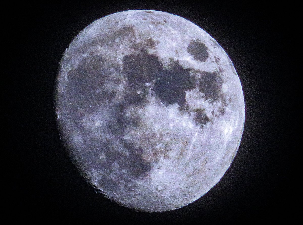 Ahmida Mohamed tweet media