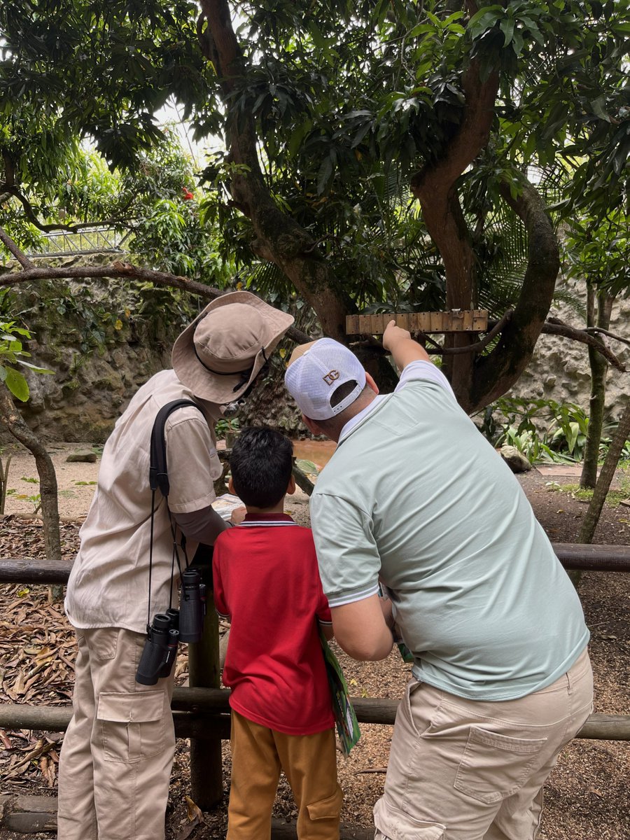 Zoológico de Cali tweet media