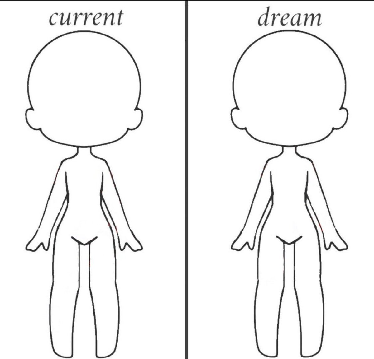 ┊ ˚₊‧ Dottie 🎼‧₊˚ ┊SHEDTWT tweet media