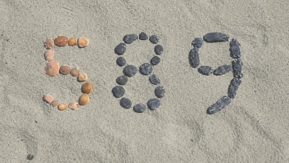 Wolf of Waimea tweet media