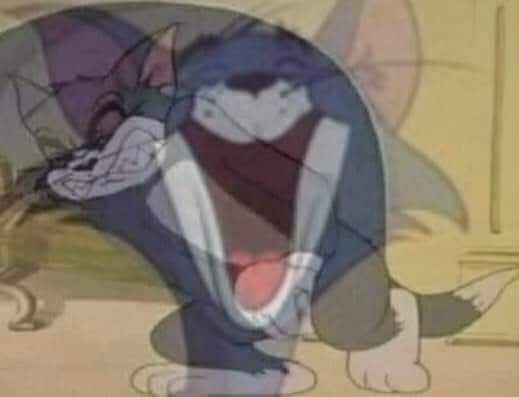 Roĸcѕ d хeвec🇩🇿🇦🇱 tweet media