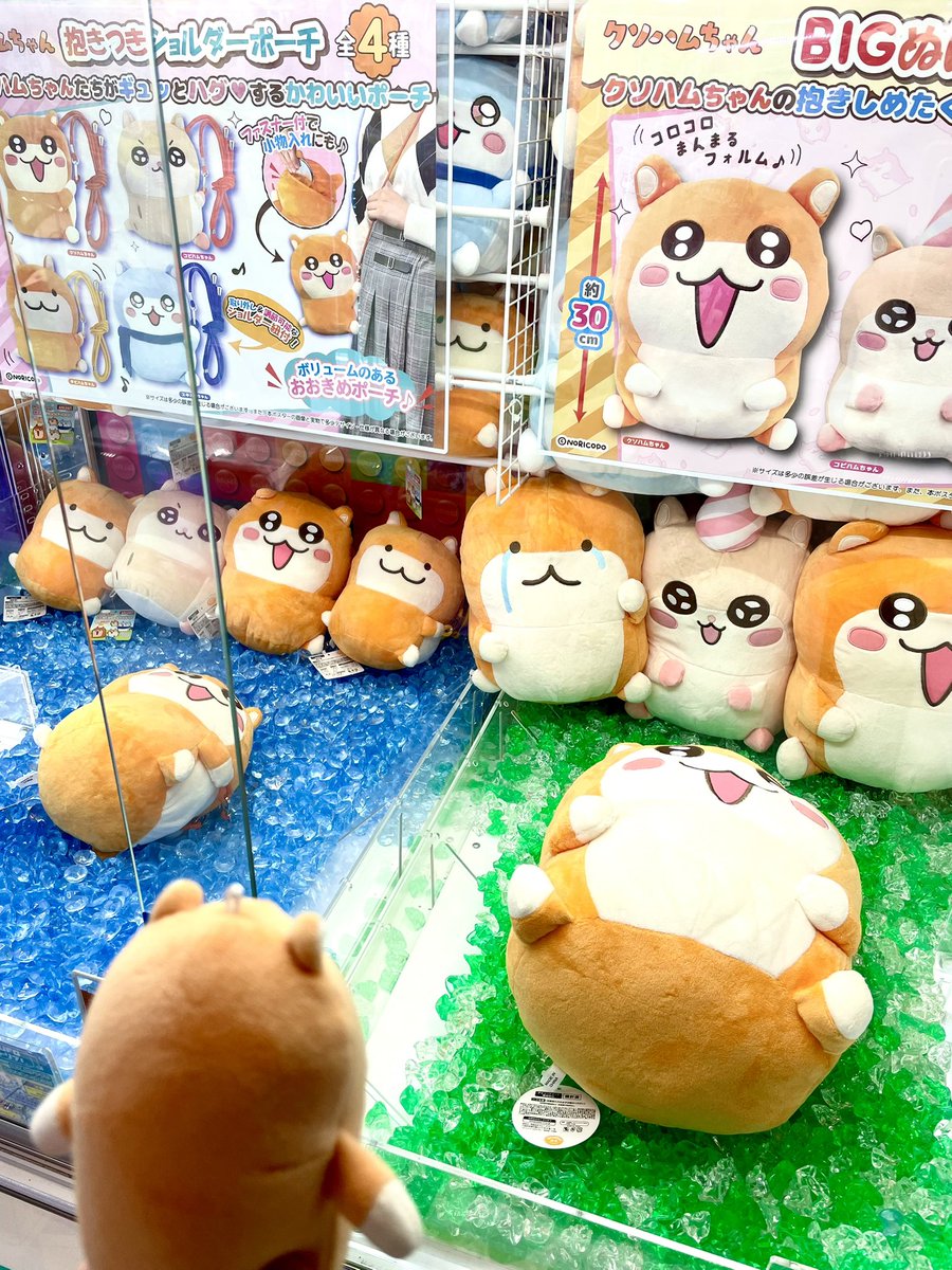 クソハムちゃんを推す tweet media