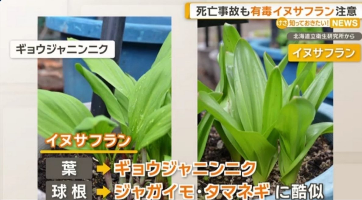 あーぁ tweet media