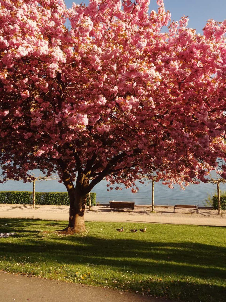 aley on fire˙ᵕ˙ tweet media