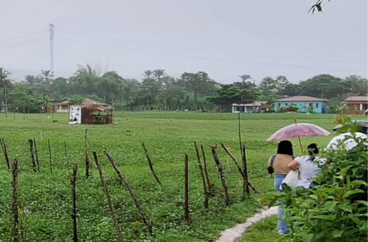 tiagomarques_'s tweet image. Relatório técnico de território quilombola no Recôncavo baiano foi publicado dlvr.it/TSGp75 #Destaques #RegiãodeCruzdasAlmas #Rural #Cachoeira