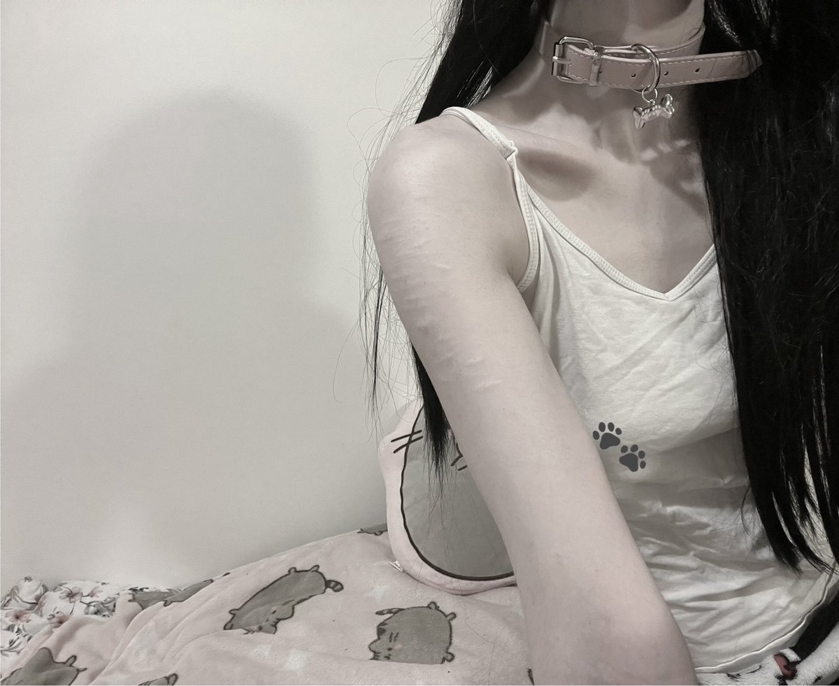 doll 🧁 tweet media