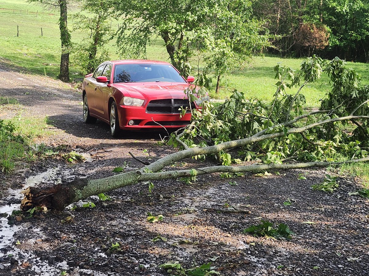 Batenswytch tweet media