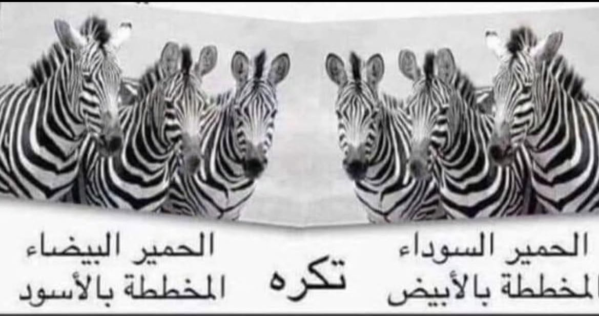 شداد بن قضعان|بنت tweet media