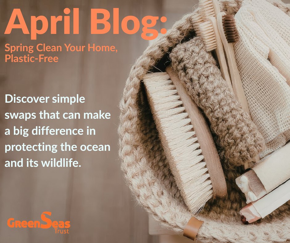 GreenseasOrg's tweet image. New blog: Spring-clean your home, but make it plastic-free!

Less waste starts at home. Swap what you can, use up what you have &amp;amp; keep plastics out of our seas.

Small change = big impact

Read more: greenseas.org/blog/all/

#PlasticFree #SpringCleaning #SustainableLiving