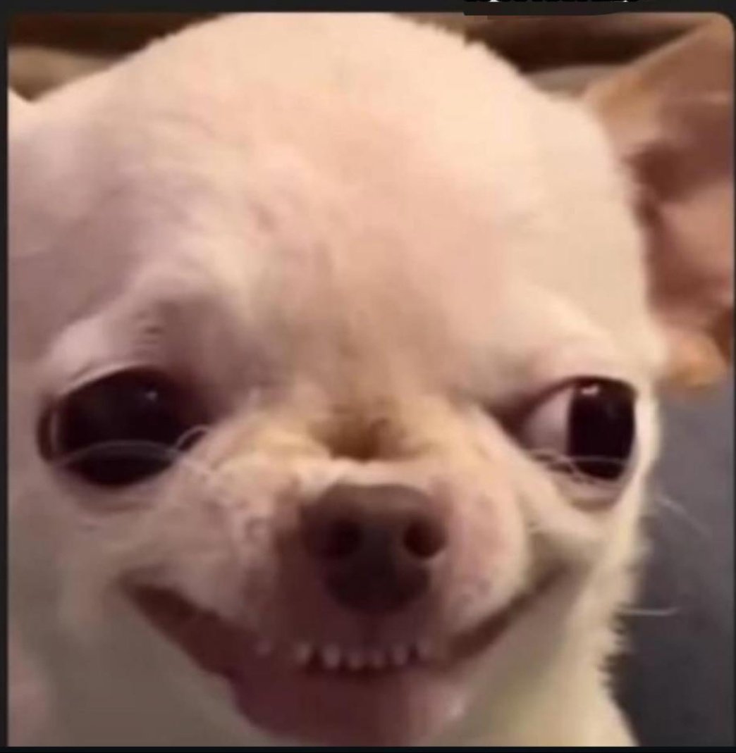 SAPA 🥣 PRESIDO tweet media