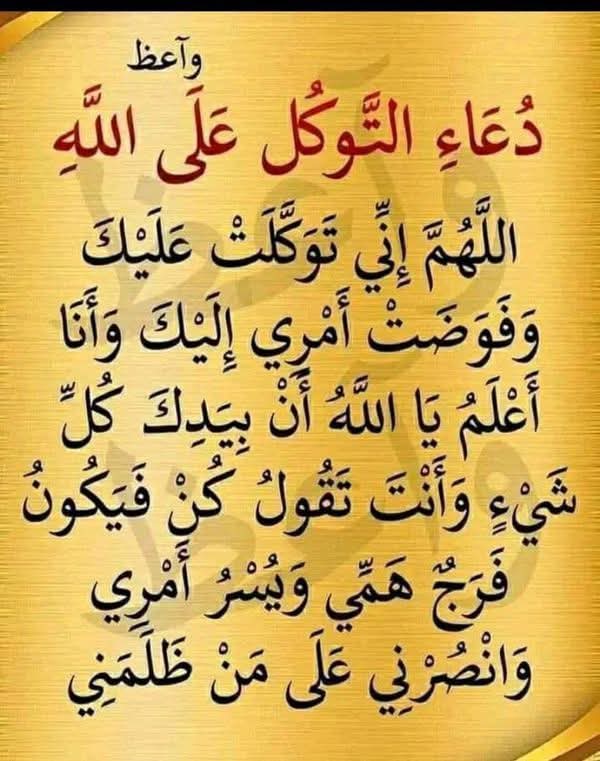 ابوعابد الصبري 🇾🇪 tweet media