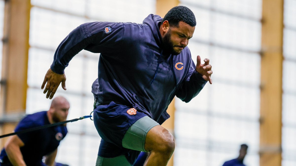 Chicago Bears tweet media