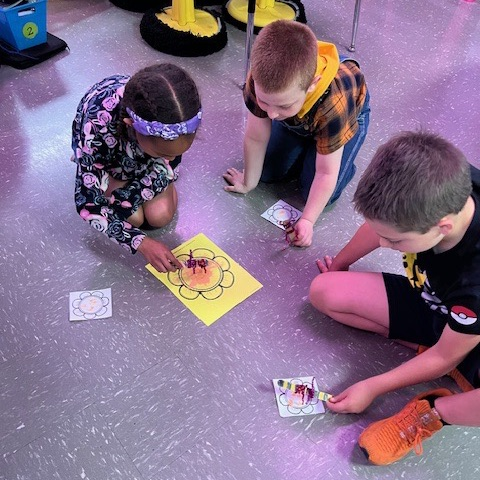 SalisburyRIV's tweet image. SES 2nd grade has been learning about pollination, and the importance of pollinators. #ShineSES #PantherPRIDE