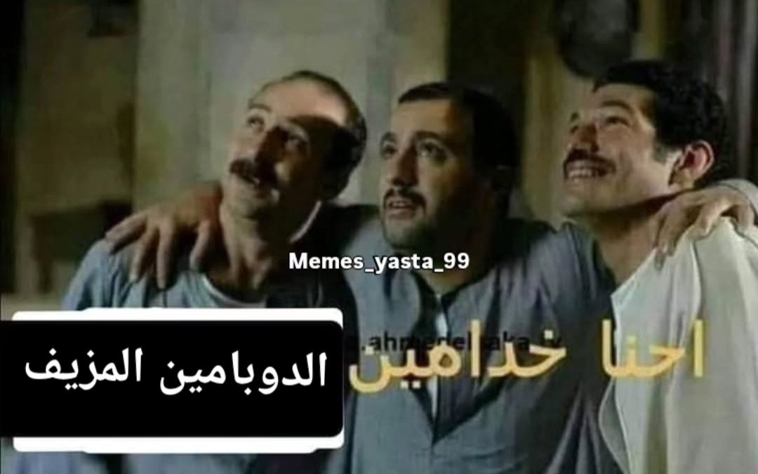 Cats mommy tweet media