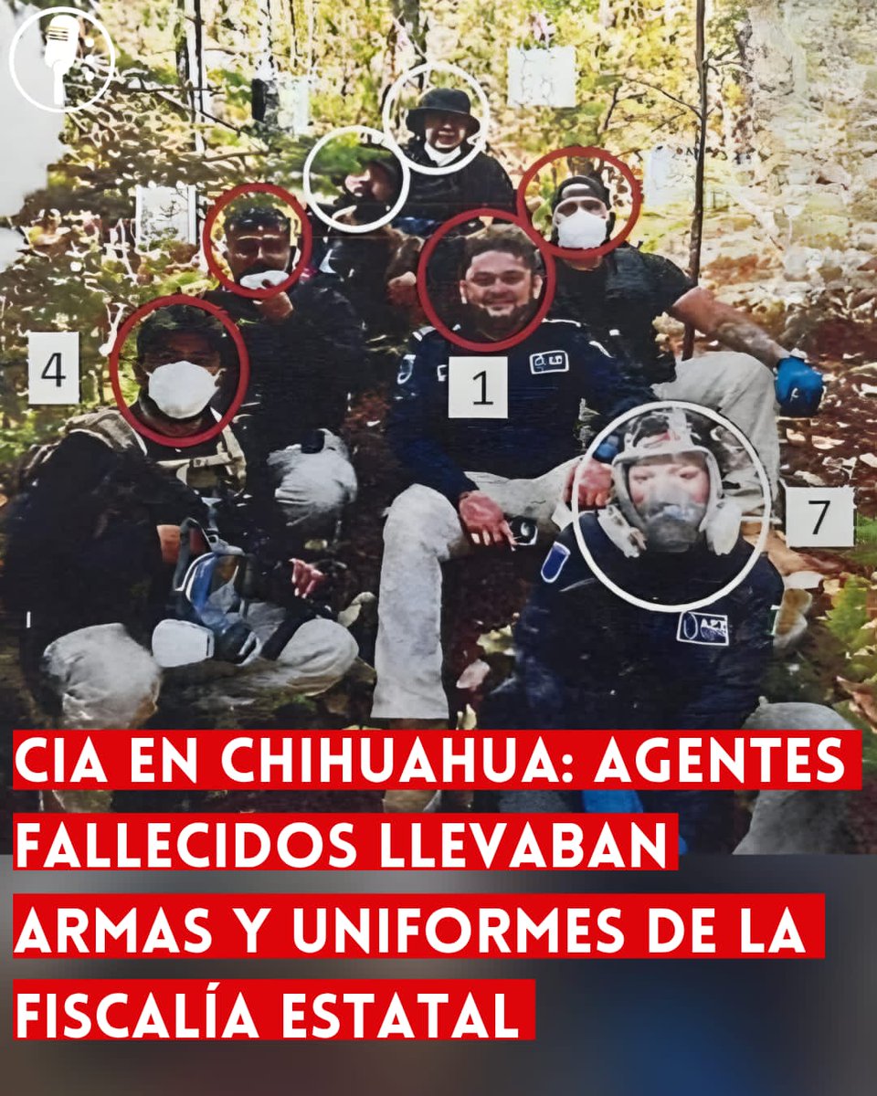 Los Reporteros MX tweet media