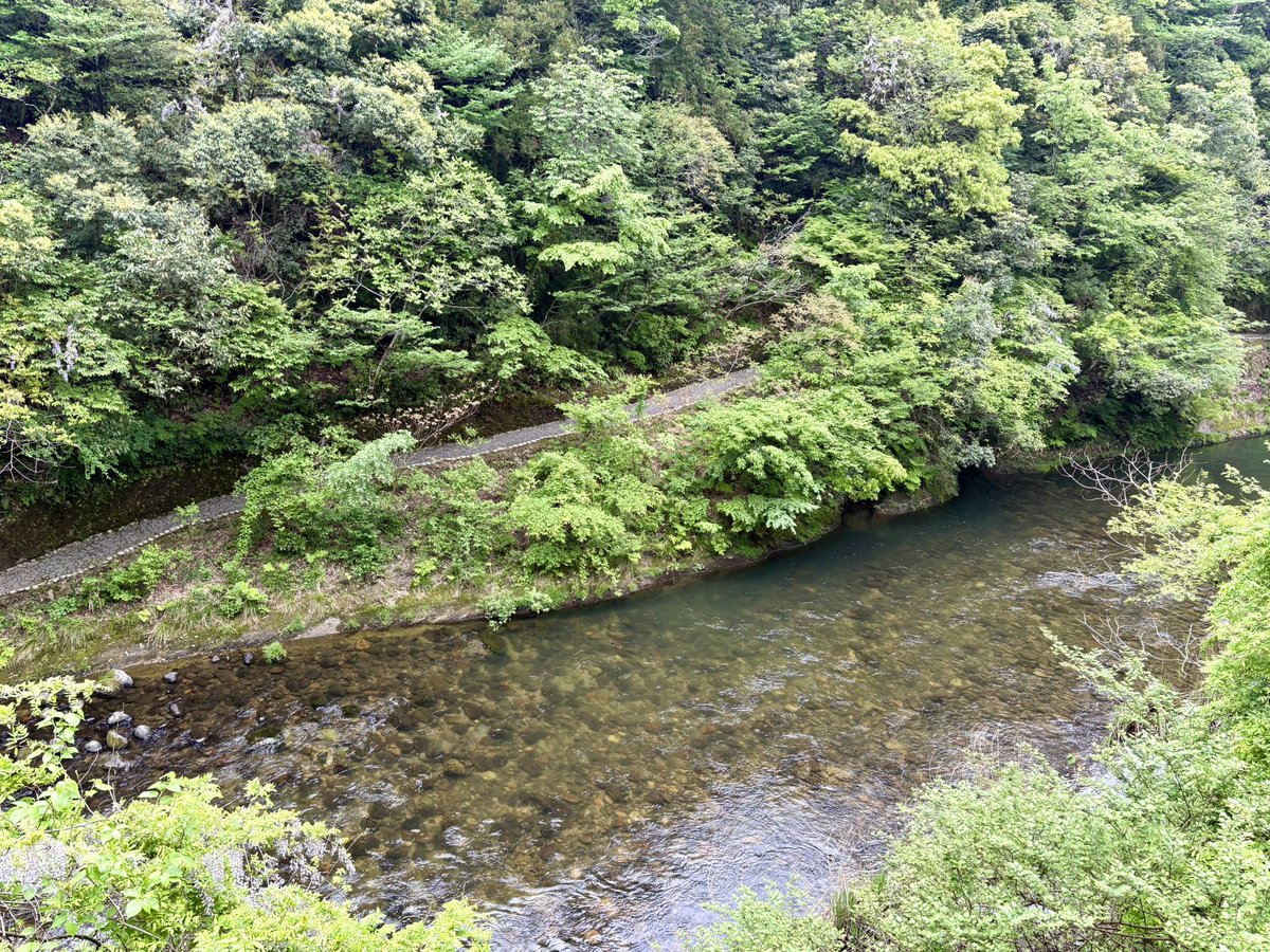 アイアン奥さん tweet media