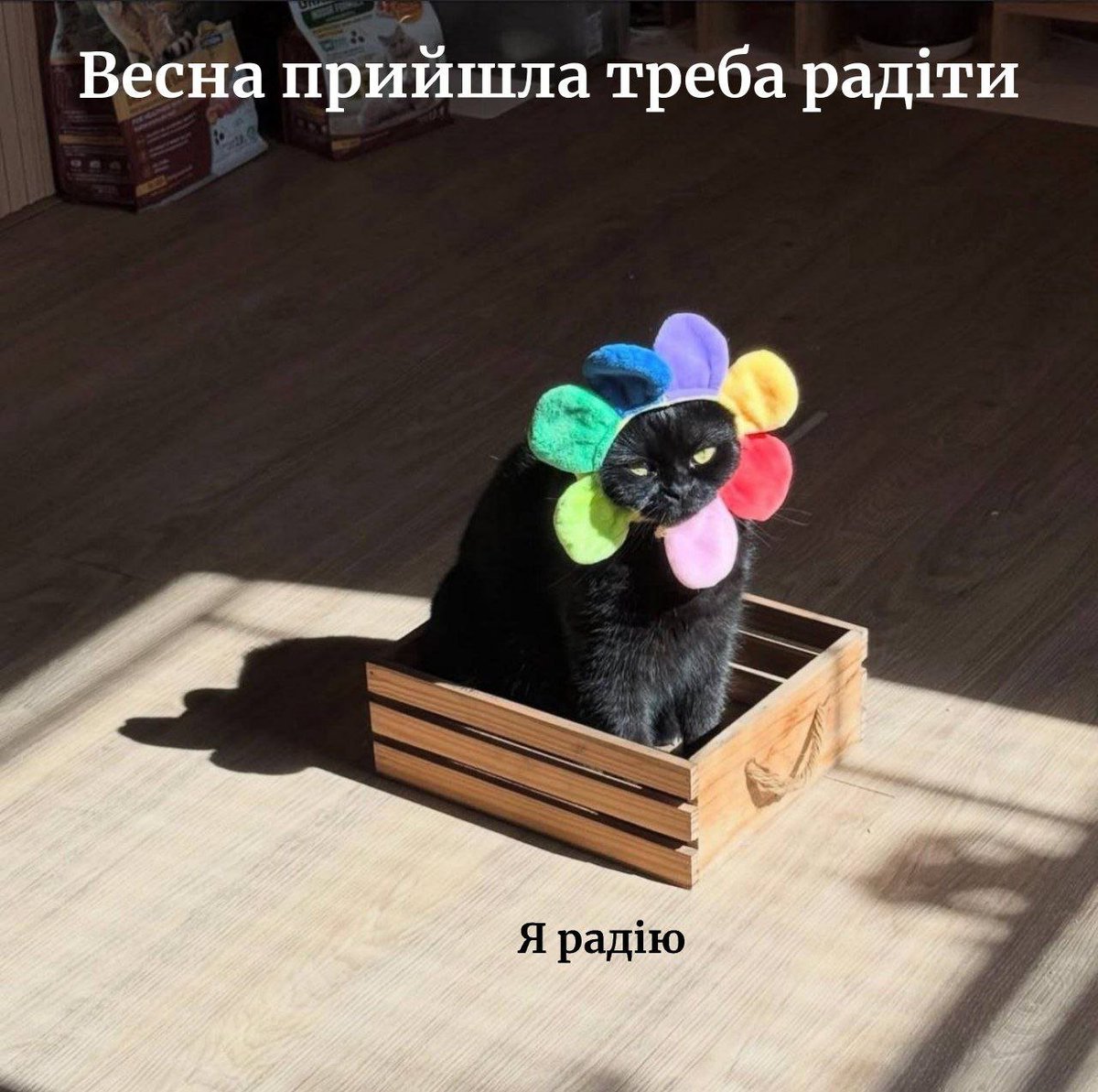 qwest__'s tweet photo. https://t.co/OX3XW5ogzF