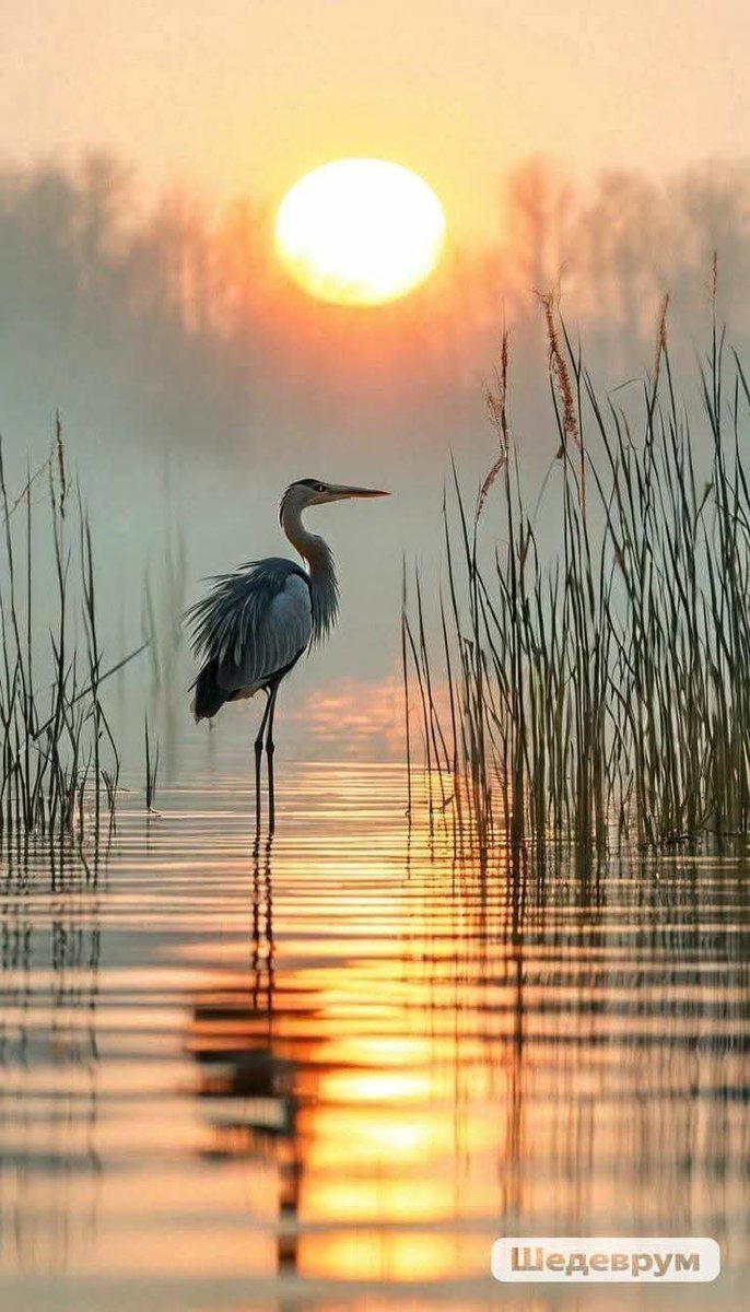 marycastro54's tweet photo. #NatureIsBeautiful #NiceSunset
#Photography #Art https://t.co/n1GN6Ai9uj