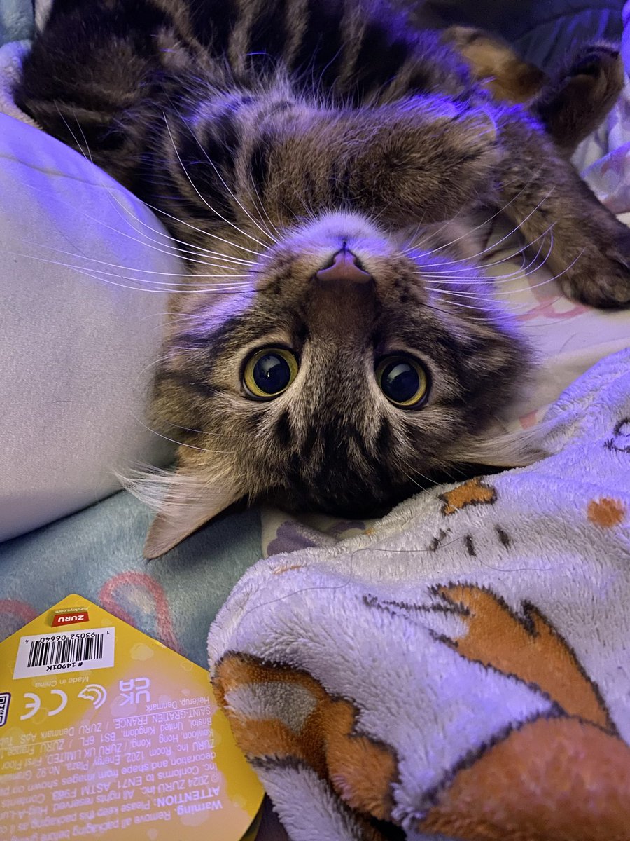 Mr.Dimensions💫 tweet media