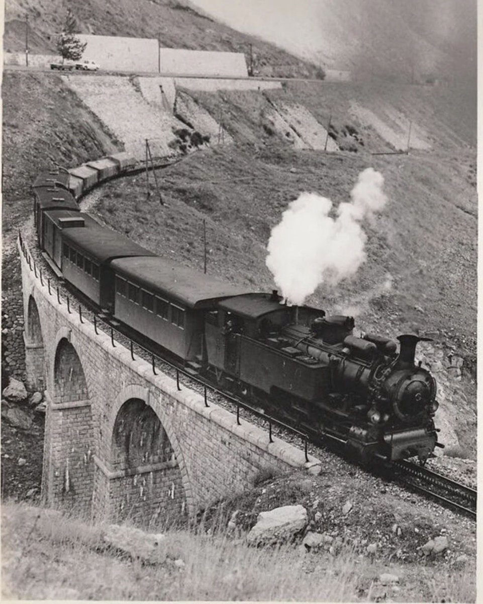 aloush علي tweet media