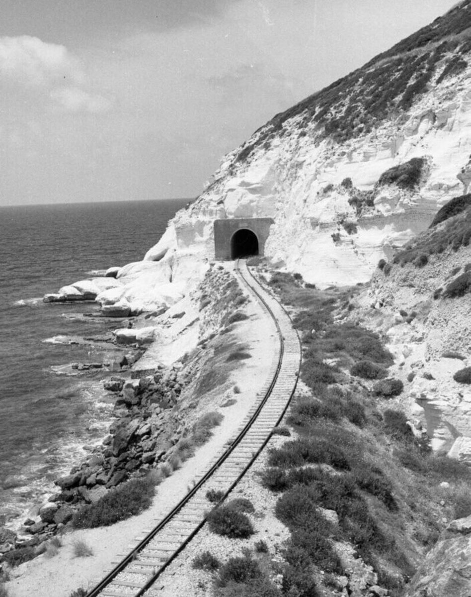 aloush علي tweet media