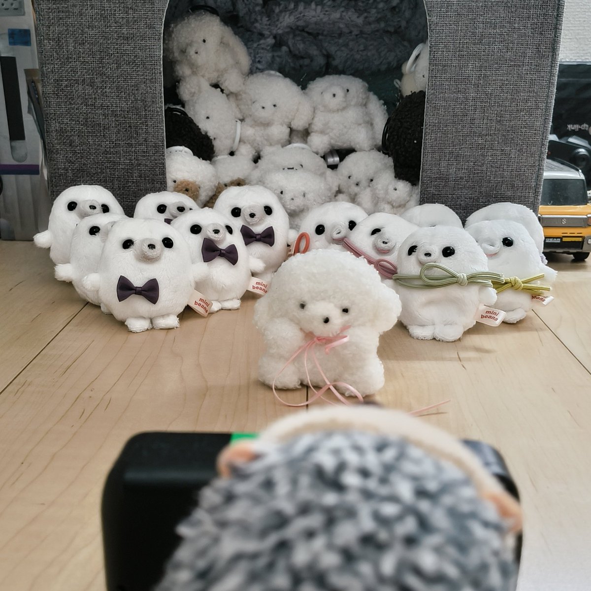 ☁もくもく　もっくん☁ tweet media
