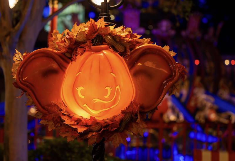 smallworldvaca's tweet image. Experience Fall at Walt Disney World Resort 🎃 Learn more here: smallworldvacations.com/experience-fal…

#WaltDisneyWorld #Fall #Disney #DisneyParks #WDW #Disneyworld #Halloween #SmallWorldVacations