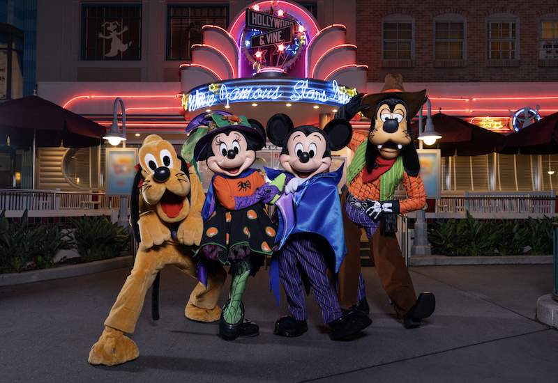 smallworldvaca's tweet image. Experience Fall at Walt Disney World Resort 🎃 Learn more here: smallworldvacations.com/experience-fal…

#WaltDisneyWorld #Fall #Disney #DisneyParks #WDW #Disneyworld #Halloween #SmallWorldVacations