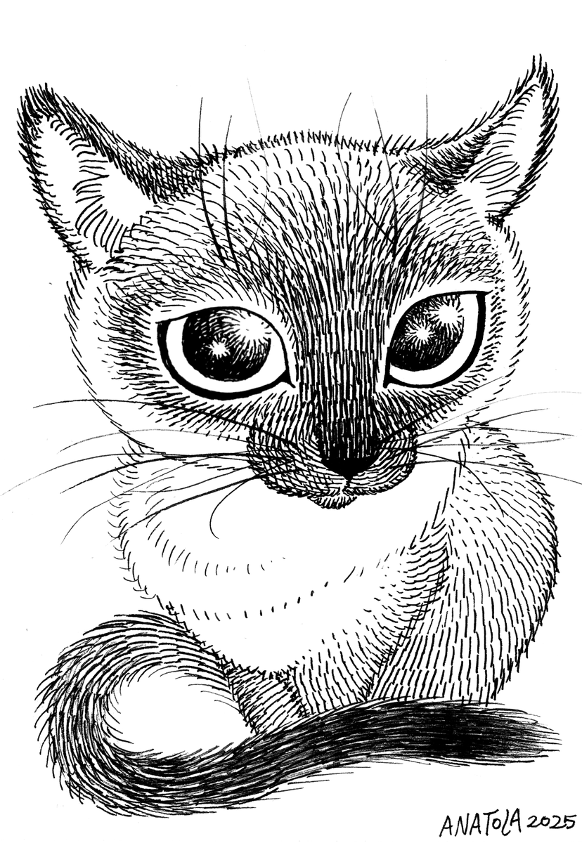 Cat commissions (thread 1/3) 😺