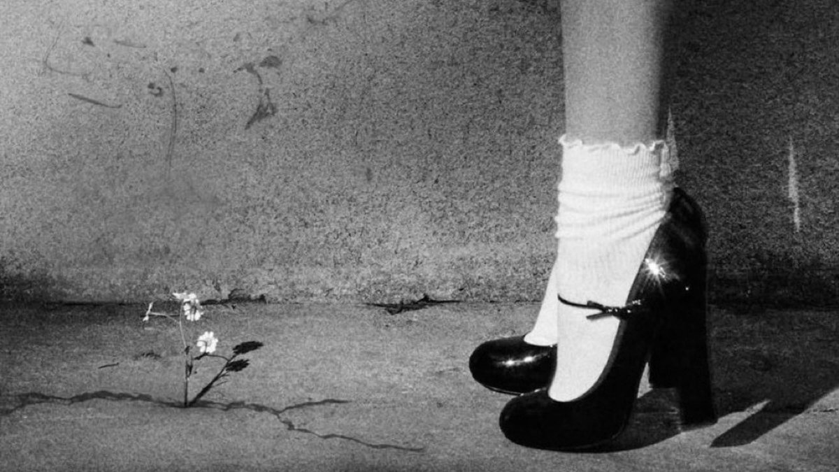 eternal1te's tweet image. days between ari’s album releases🌼:

my everything: 357
dangerous woman: 637
sweetener: 819
thank u, next: 175
positions (standard): 630
positions (deluxe): 112
eternal sunshine (standard): 1,114
eternal sunshine (deluxe): 385
petal: 490