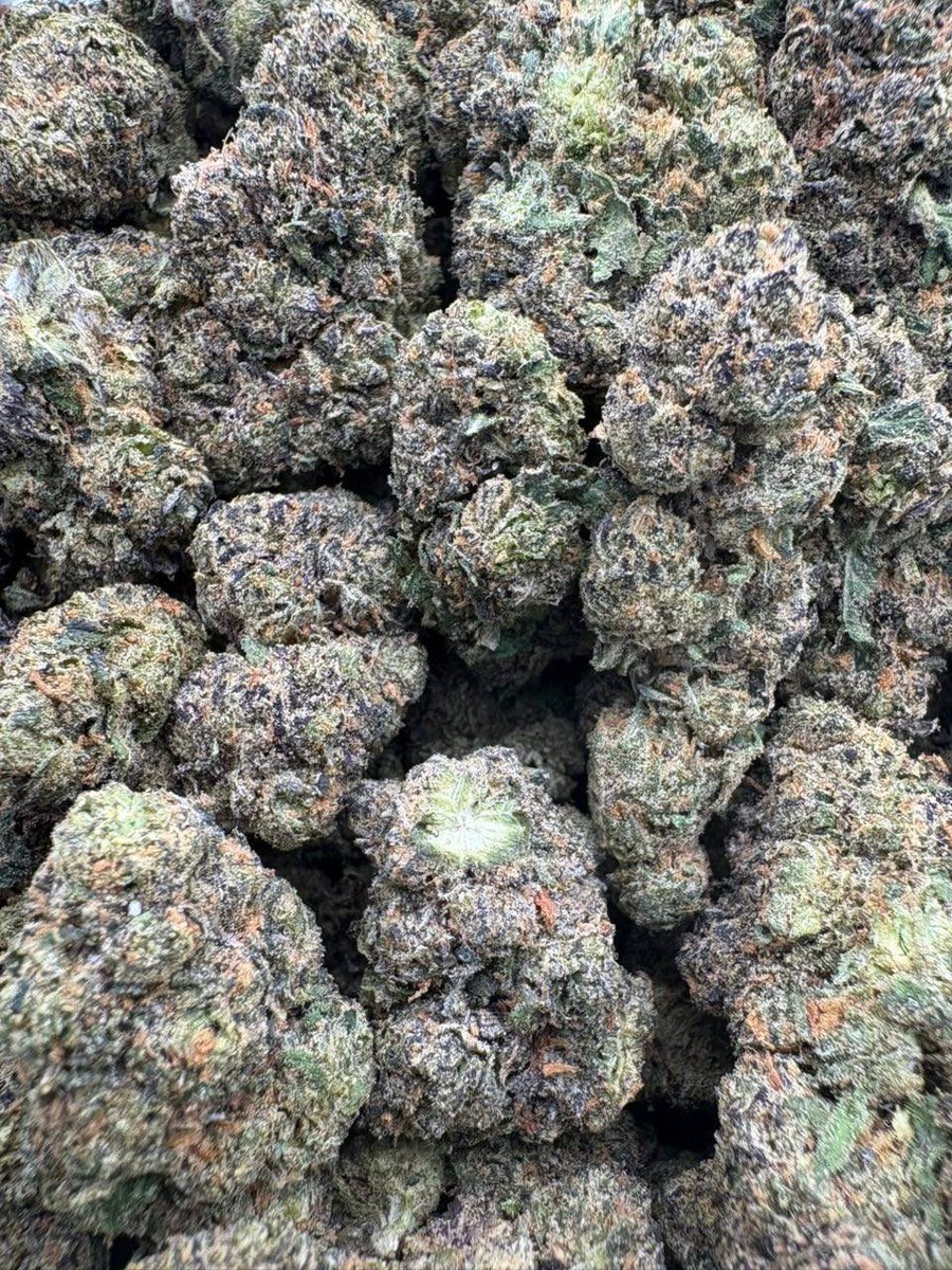 SONIC BUDS tweet media