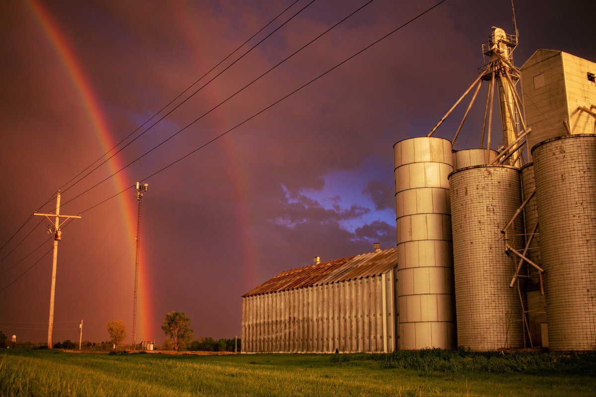 Sarah 📸 tweet media