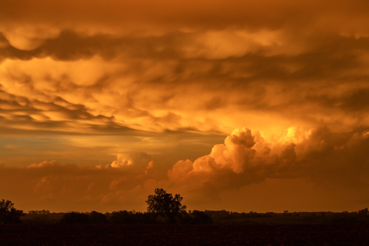 Sarah 📸 tweet media