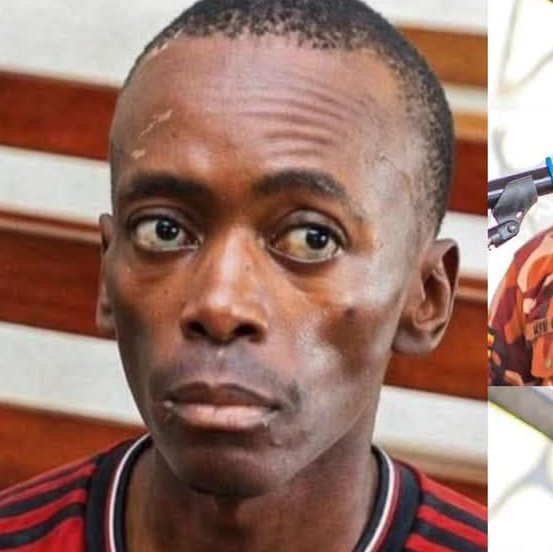 Unique Ivan tweet media