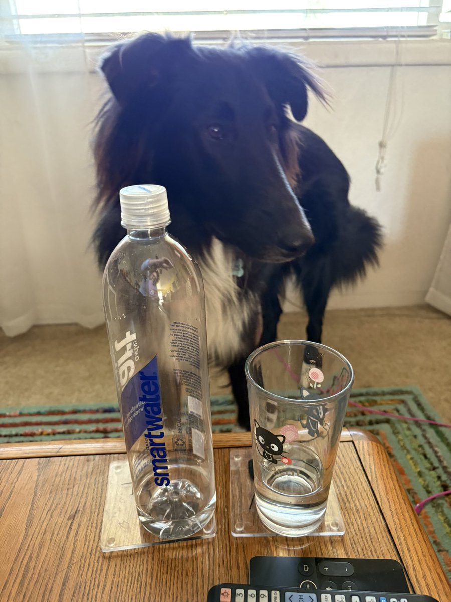 WilmaBenton19's tweet image. Why, mama? Why should I drink out of my water dish when I can just take a drink from your glass!?! 
#dogsofx #dogsoftwitter