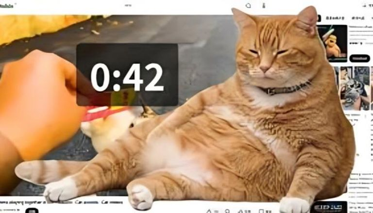 Olivia_anthoony's tweet image. You’re scrolling then a cat pops up and blocks your screen 🐱
New Chrome tool forcing people to take a break
#Chrome #Tech #Cat #Internet
