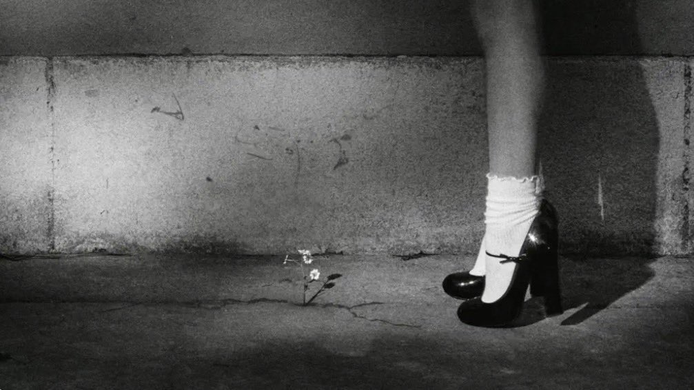 éponine tweet media