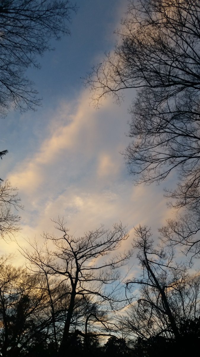 #憲法9条は世界に誇る日本のブランドです
#殺傷武器輸出反対
#アメリカイスラエルの国際法違反に抗議する
#StopGazaGenocideNow
#憲法が希望