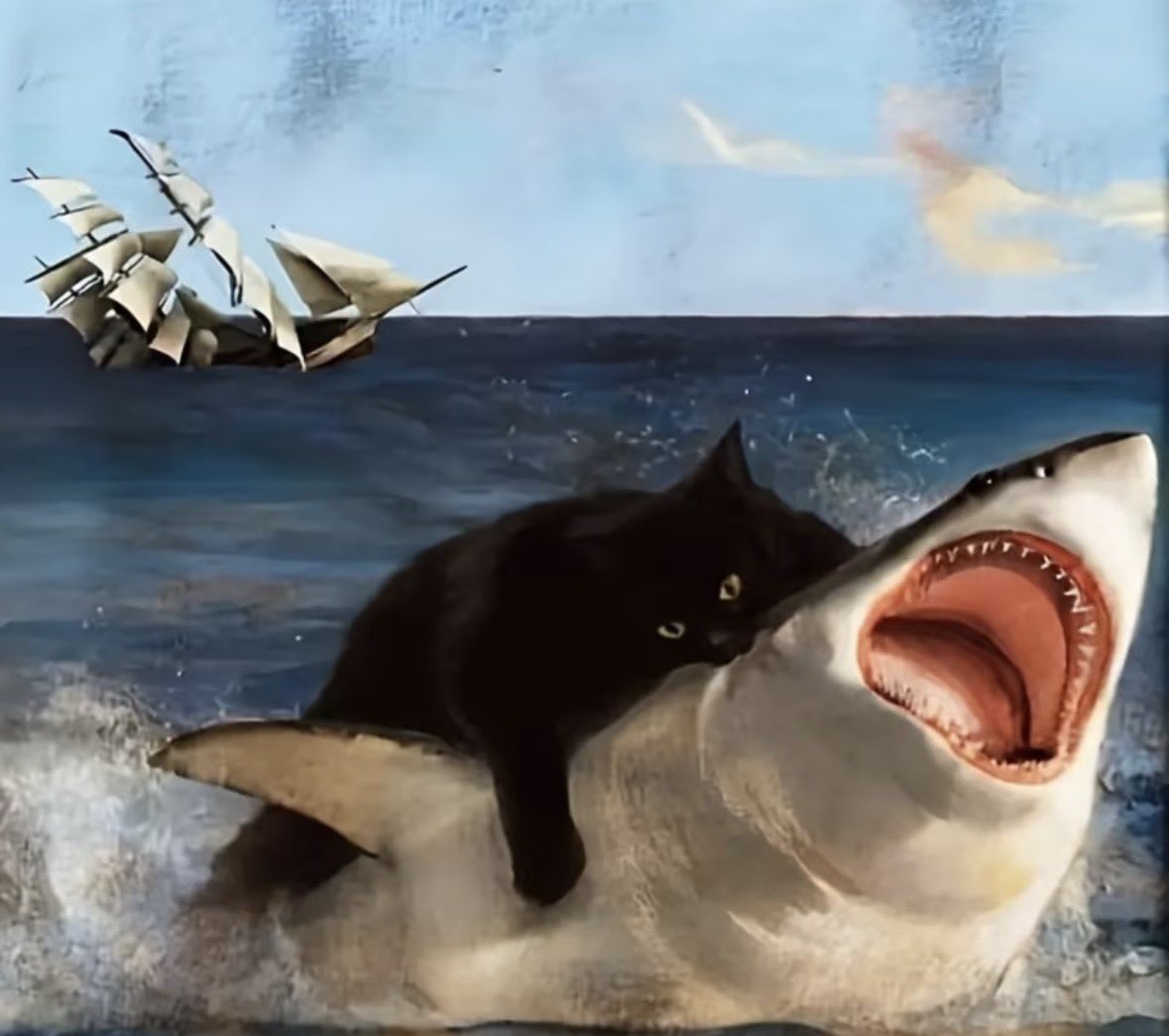 이 트윗을 보신 분들
다가오는 불행은
검은 고양이가 처리해준다고 하네요
조은 하루 보내세요 🖤