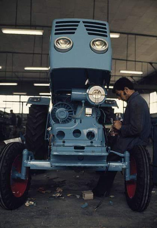 Algerian Visuals 🇩🇿 tweet media